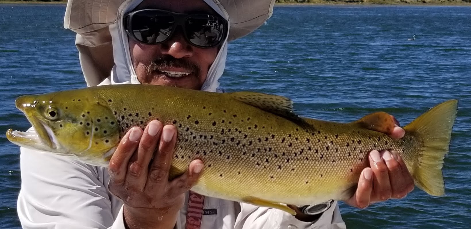 Guide David Carranza